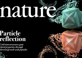 펩타이드를 이용한 거울 대칭 금 나노 기하구조 합성