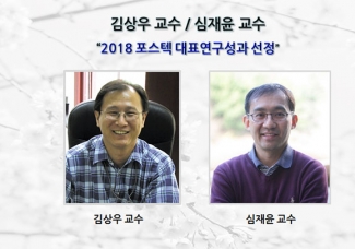 김상우 교수, 심재윤 교수 “2018 포스텍 대표연구성과 선정”
